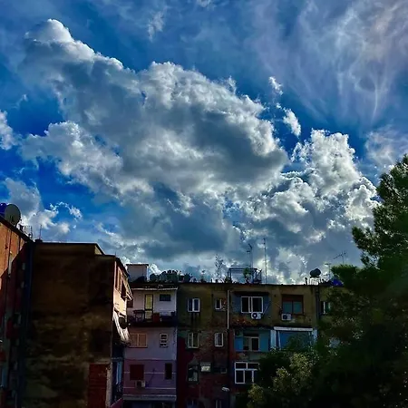 A Small Gem In The Bllok